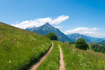 Landscape with Mount Niesen in Aeschi
