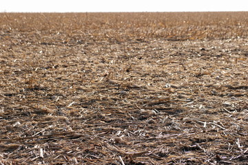 field