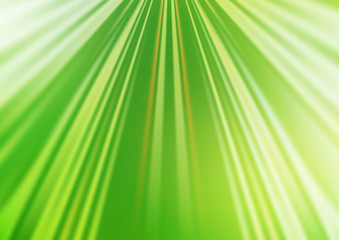 Light Green, Yellow vector background with straight lines. Shining colored illustration with narrow lines. Pattern for ads, posters, banners.