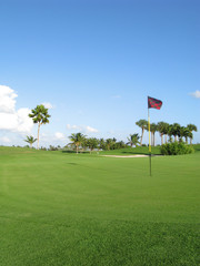 Tropical Golf Course