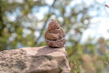 Tower of 3 stacked sandstones on the forest floor