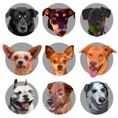 Set of stickers with heads of dogs