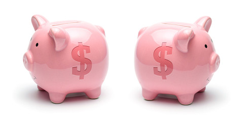 Pink piggy bank with dollar symbol isolated on a white background. Concept How to save money