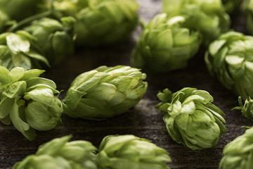 Obraz premium close up view of green hop on wooden surface