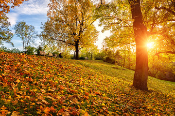 Autumn in Prague, beautiful sunny park on Vitkov hill, Zizkov district, Czech Republic, travel background