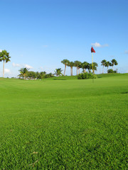 Obraz premium Tropical Golf Course