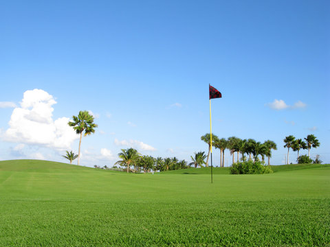 Tropical Golf Course