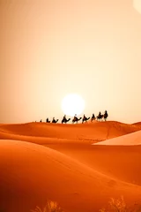 Zelfklevend Fotobehang Sahara desert © Carlos