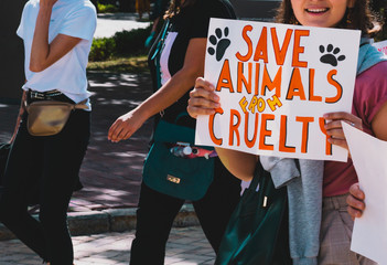 The word " Save animals from cruelty " drawn on a carton banner in woman's hand. Human holds a cardboard with an inscription. Animal Right March. Protest. Rally. Marching