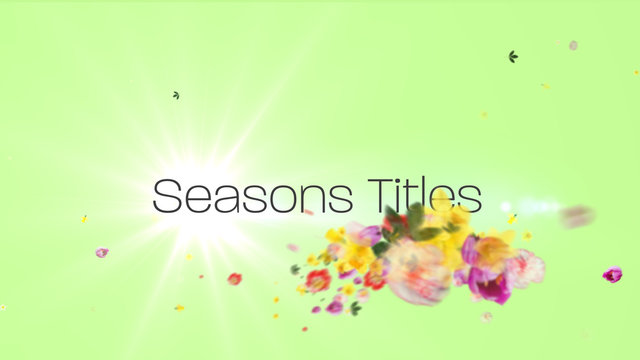 Seasons Titles