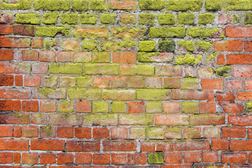 Red brick wall partly covered in green moss. Colorful background and abstract image.