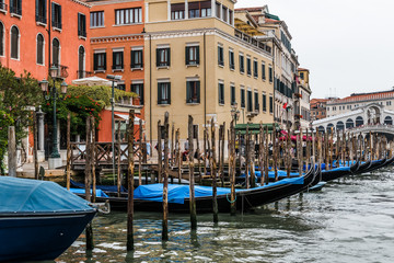 Gondolas at the Rialto bridge on the Grand canal