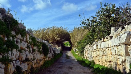 Country road in Malta.
