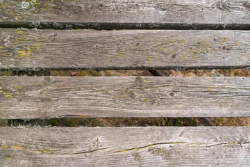 Old rotten wooden boards overgrown with moss