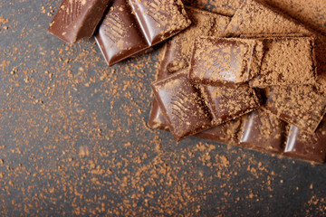 pieces of chocolate and cocoa powder on the table.