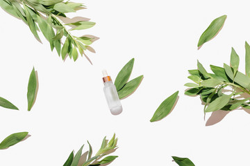 Natural organic serum bottle among fresh green leaves