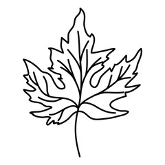 autumn leaf plant seasonal icon