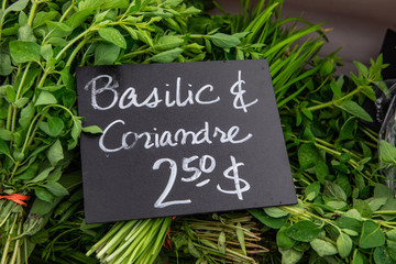 Organic produce at a farmer's market. A close up view of a French-Canadian price sign saying basil & coriander next to bunches of fresh green kitchen herbs for sale during an outdoor market.
