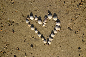 Serce z muszelek na plaży © Katarzyna