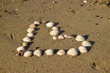 Fototapeta na wymiar Serce z muszelek na plaży