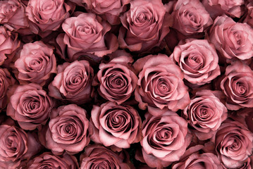 Obraz na płótnie Canvas Big bunch of fresh pink roses in bouquet close up texture background 