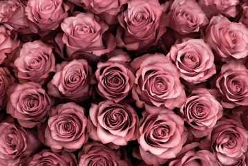 Poster Big bunch of fresh pink roses in bouquet close up texture background  © Nikusha