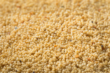 Raw Organic White Poppy Seeds