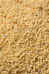 Raw Organic White Poppy Seeds