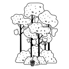 seasonal forest autumn landscape scene