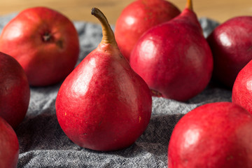 Raw Red Organic Anjou Pears