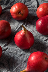Raw Red Organic Anjou Pears