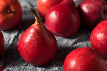 Fototapeta na wymiar Raw Red Organic Anjou Pears