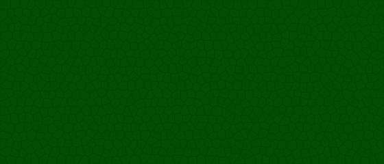 Fototapeta premium texture, sfondo, pattern, cellule vegetali