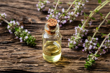 A bottle of essential oil with fresh creeping thyme