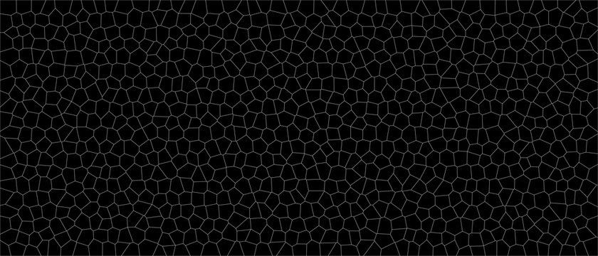 texture, sfondo, pattern, cellule vegetali