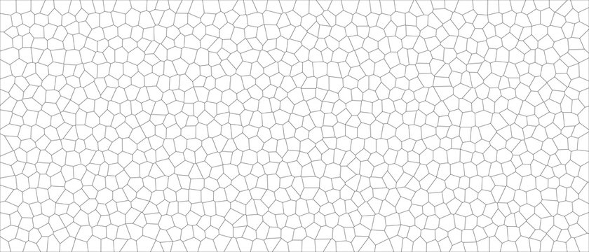 texture, sfondo, pattern, cellule vegetali