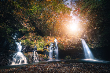 Waterfall with autumn foliage in Fujinomiya, Japan.