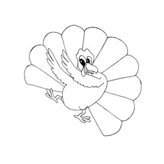 Turkey dancing. Sketch of funny cute cartoons bird hand drawn art design stock vector illustration for web, for print, for coloring page
