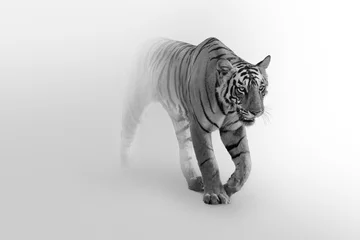 Zelfklevend Fotobehang Tiger walking toward you in a foggy background © Effect of Darkness