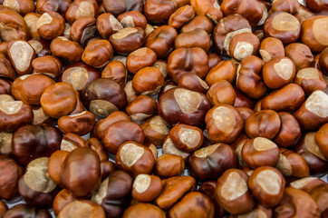 Beautiful background with chestnuts. View from above.