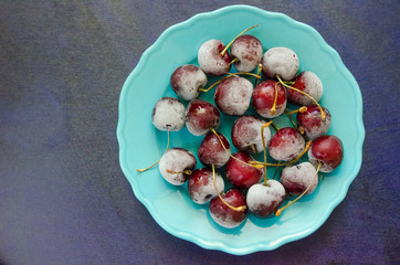cherry berries cherries frozen by frost on a bright background