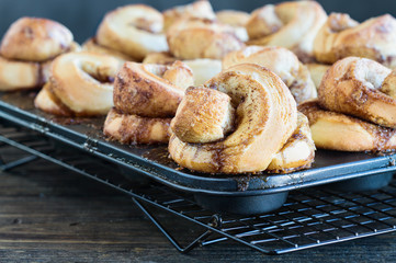 Fresh made homemade tall cinnamon rolls still in the muffin tin over a rustic wood table. Extreme selective focus on bun in the foreground with blurred background.