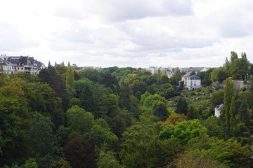 Fototapeta na wymiar Das Petruss-Tal in Luxemburg City mit vielen grünen Bäumen