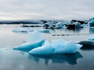 Ducks swimming among iceburgs in the lagoon near Jokulsarlon Glacier 