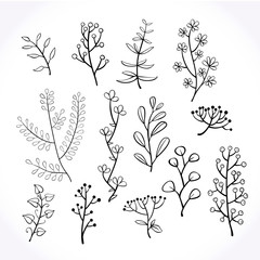 Set of hand-drawn doodle floral elements. Doodle botanical elements.Vector graphics. - 293672623