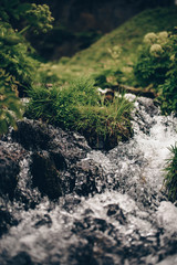 Clean brook