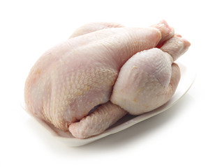 Fresh raw whole chicken on white plate 