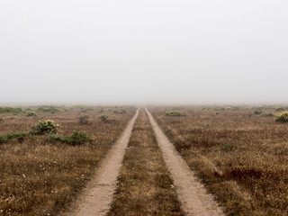 Tire track disappearing into the fog.