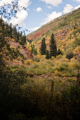 Fototapeta na wymiar Landscape view of the mountains in Vail, Colorado covered in fall foliage. 