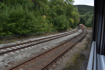 railway in forest